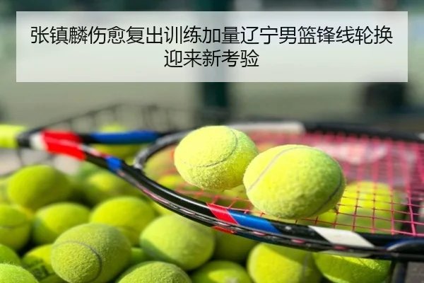 张镇麟伤愈复出训练加量辽宁男篮锋线轮换迎来新考验